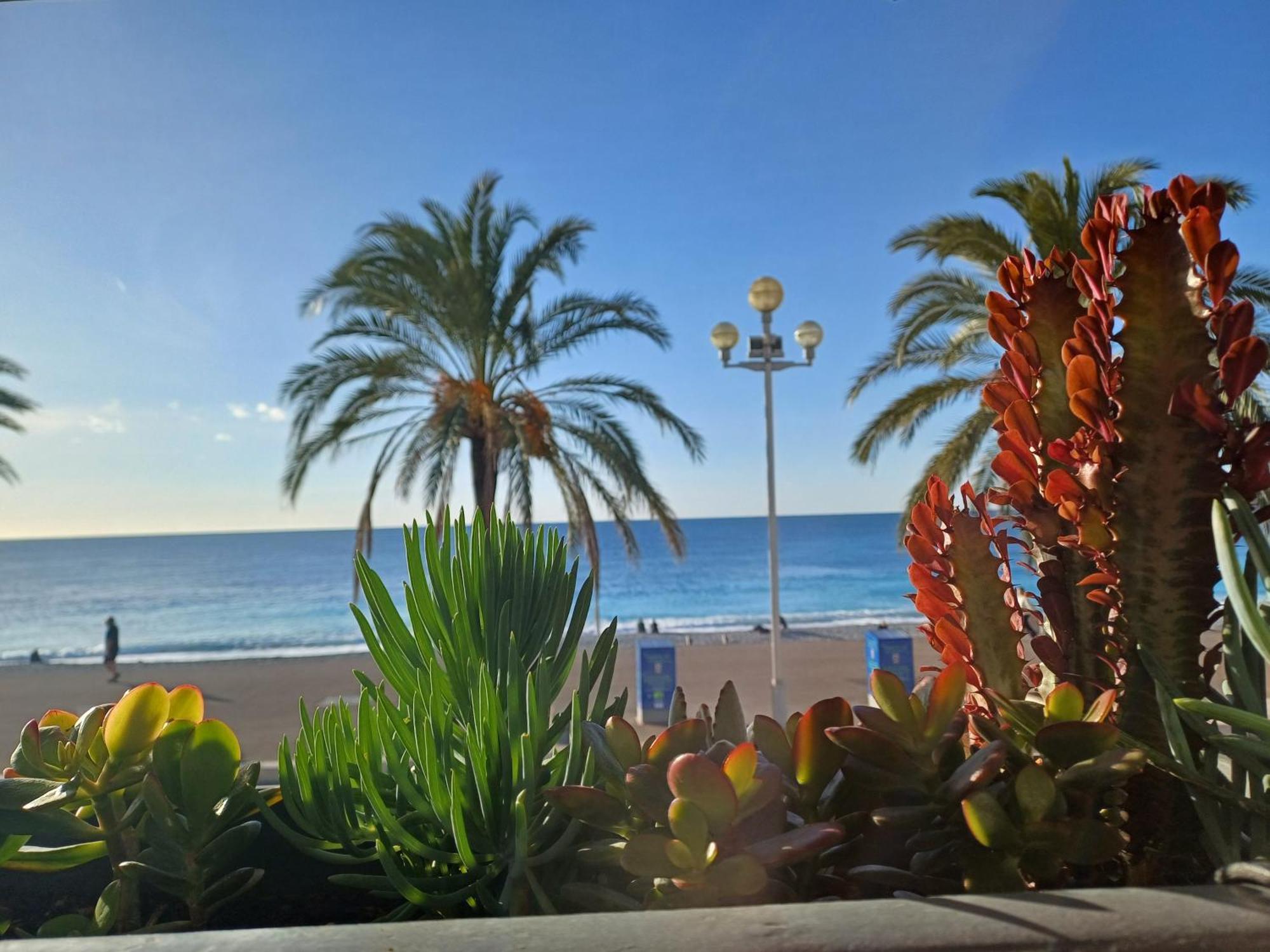 Le Paga Nizza
